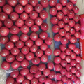 huaniu apples red apples red delicious apples